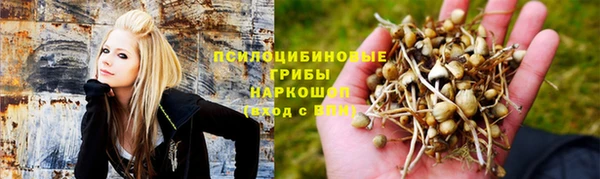 apvp Баксан