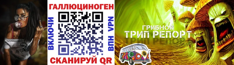 гидра ССЫЛКА  Талдом  Псилоцибиновые грибы MAGIC MUSHROOMS  цены  